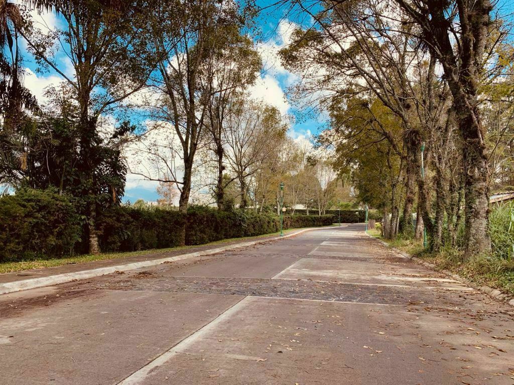 Imagen 2 de 10