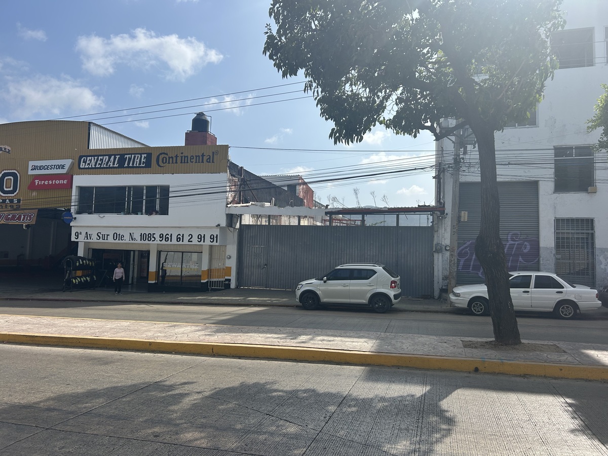 3 de 11