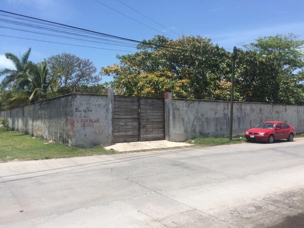 4 de 4