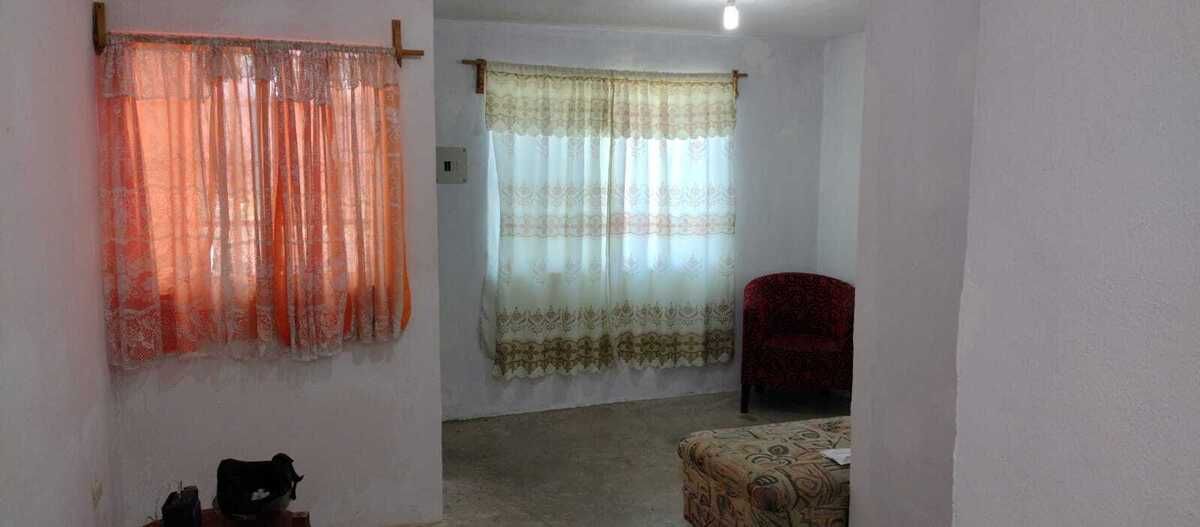 Imagen 2 de 3