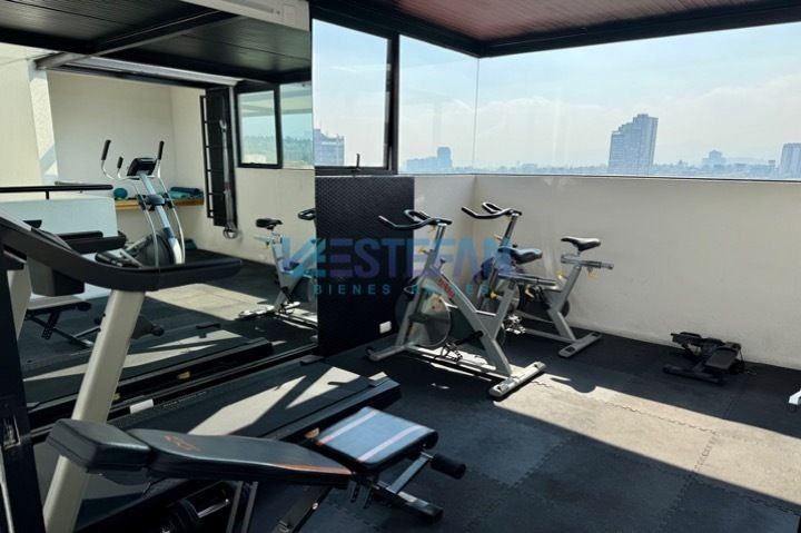 18 de 19: GIMNASIO