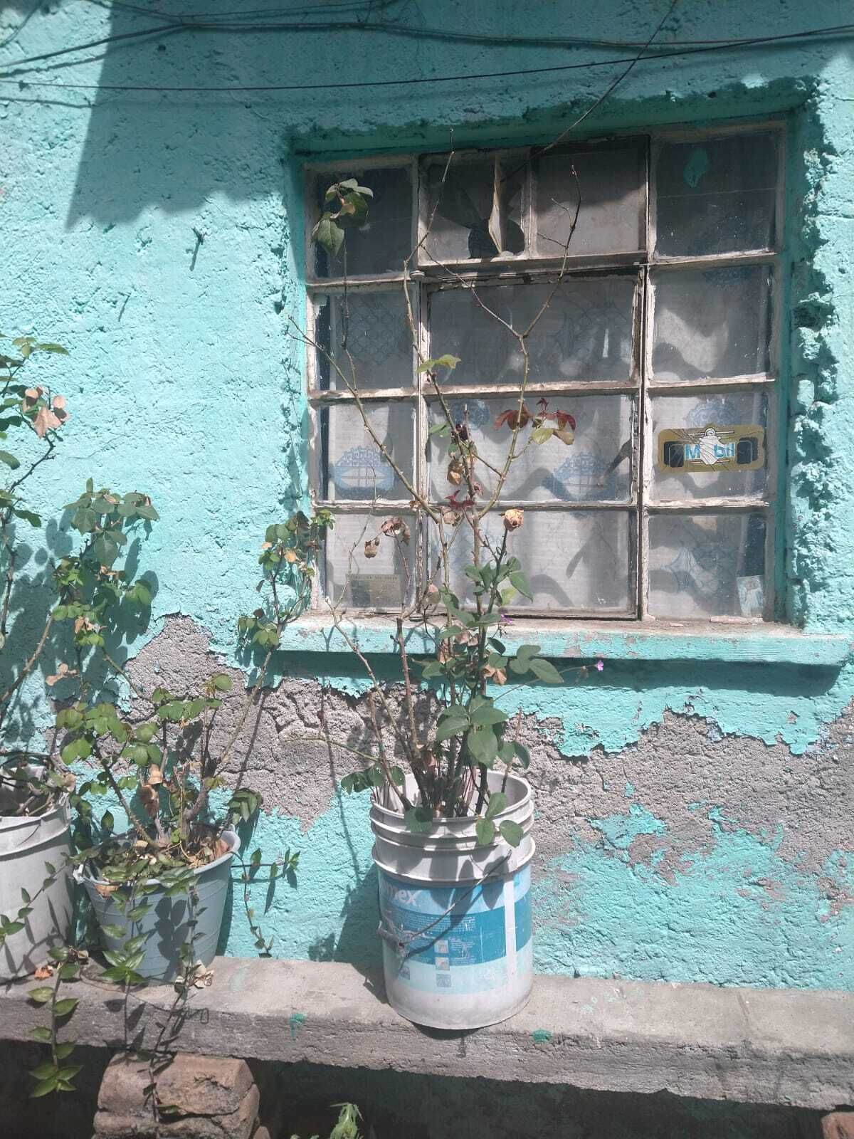 4 de 5