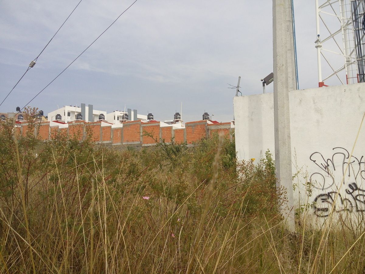 Imagen 3 de 4