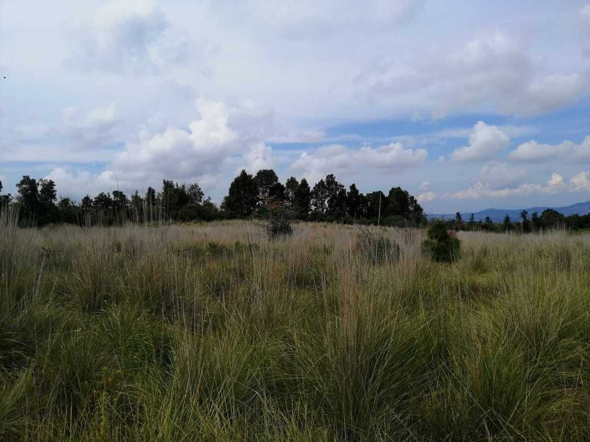 Imagen 5 de 5