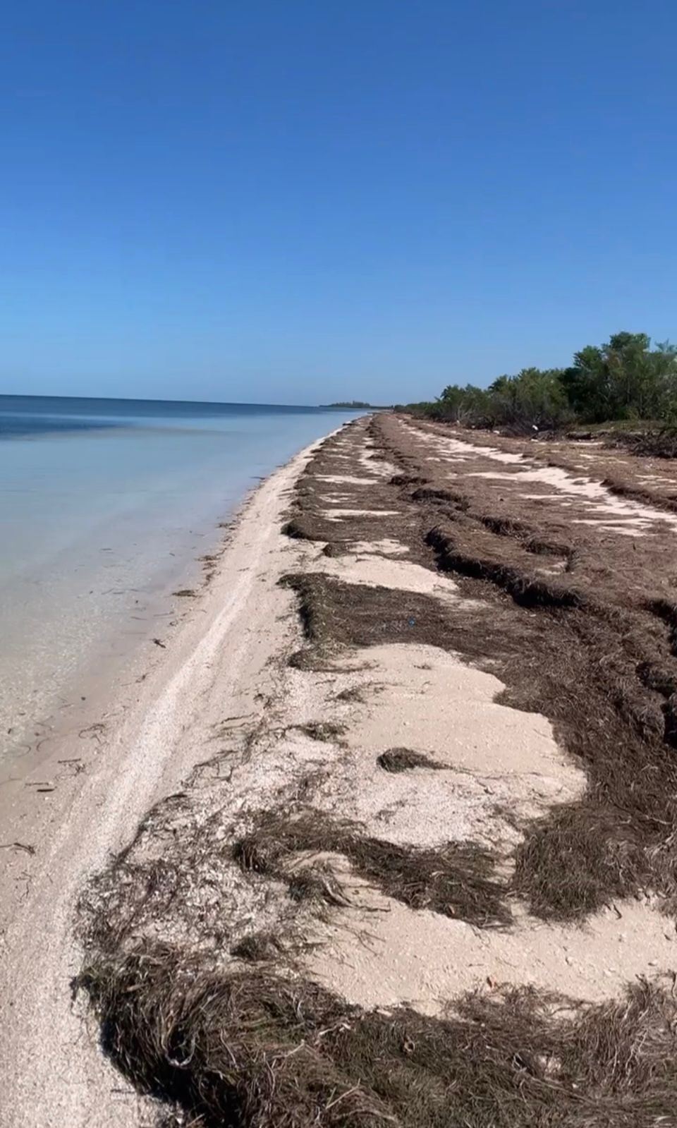 GRAN OPORTUNIDAD DE TERRENO A LA ORILLA DE MAR EN CHABIHAU A 1:15 de la Ciudad, foto 1 de 7