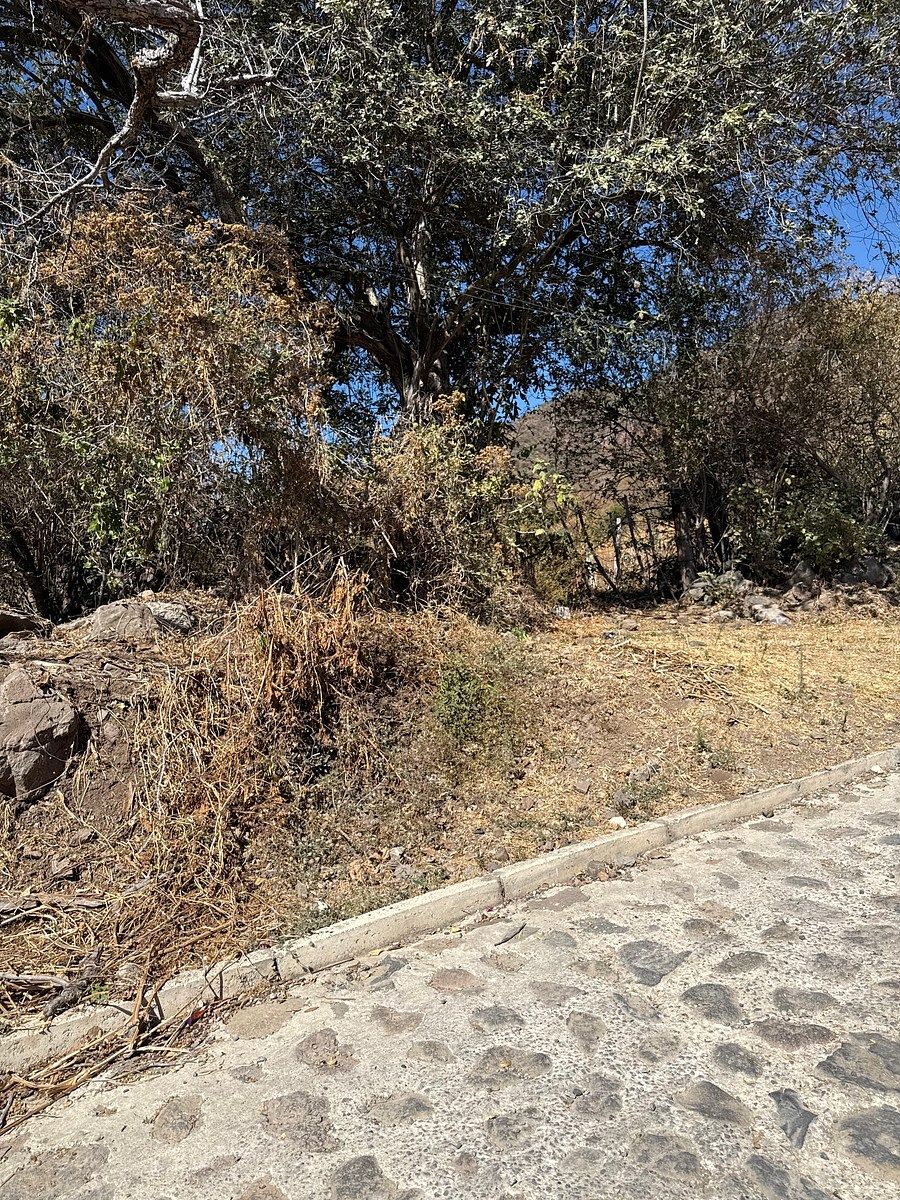 Lote em San Juan Cosala, Jocotepec, foto 2 de 8
