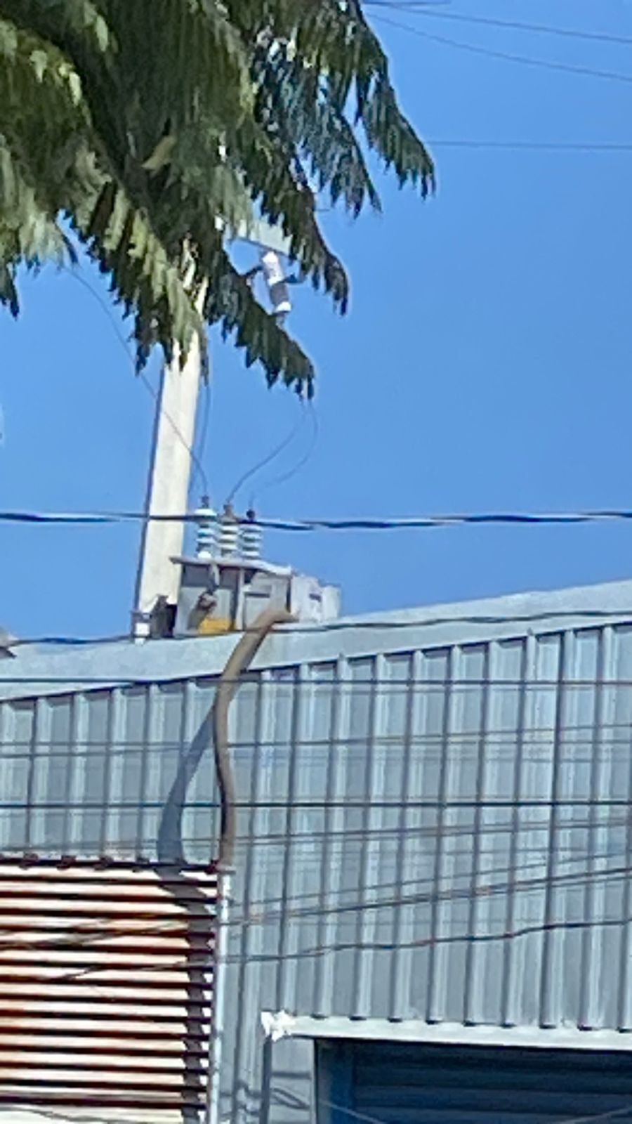 4 de 8