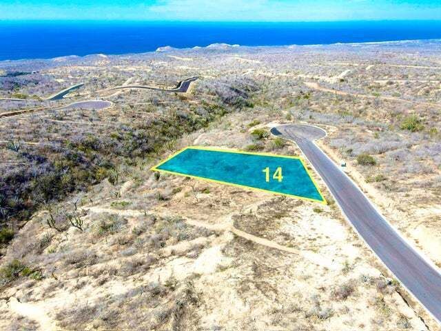 10 de 31