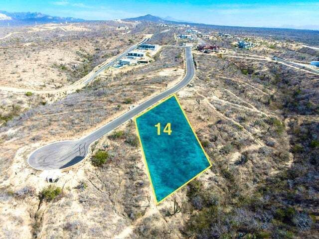 11 de 31
