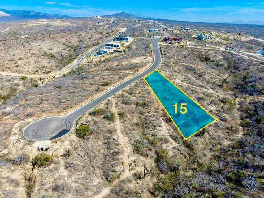 19 de 41