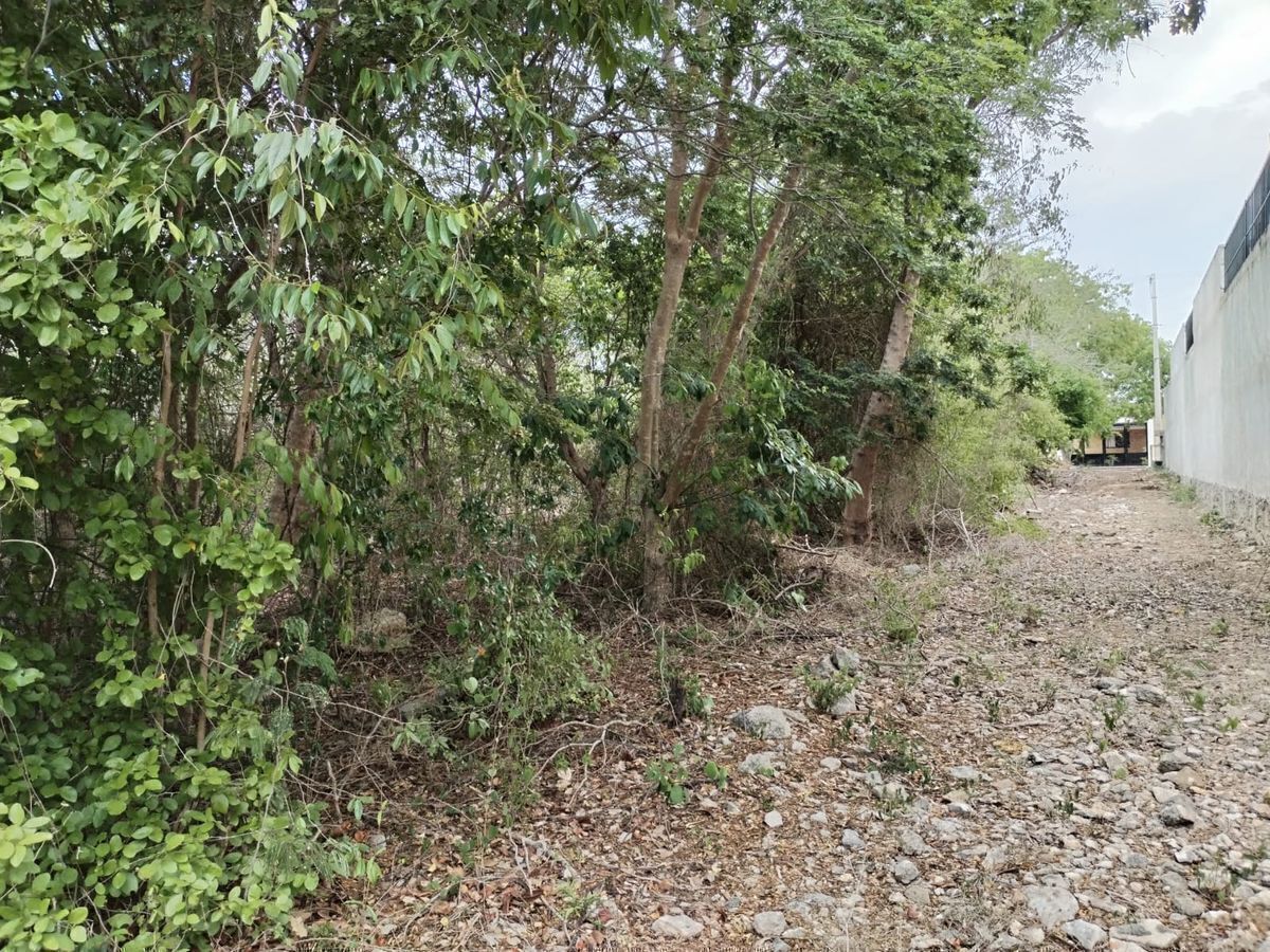 8 de 13: Vista desde el fondo