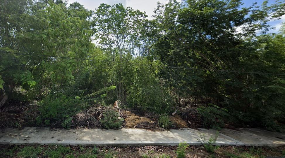 7 de 13: Frente del terreno