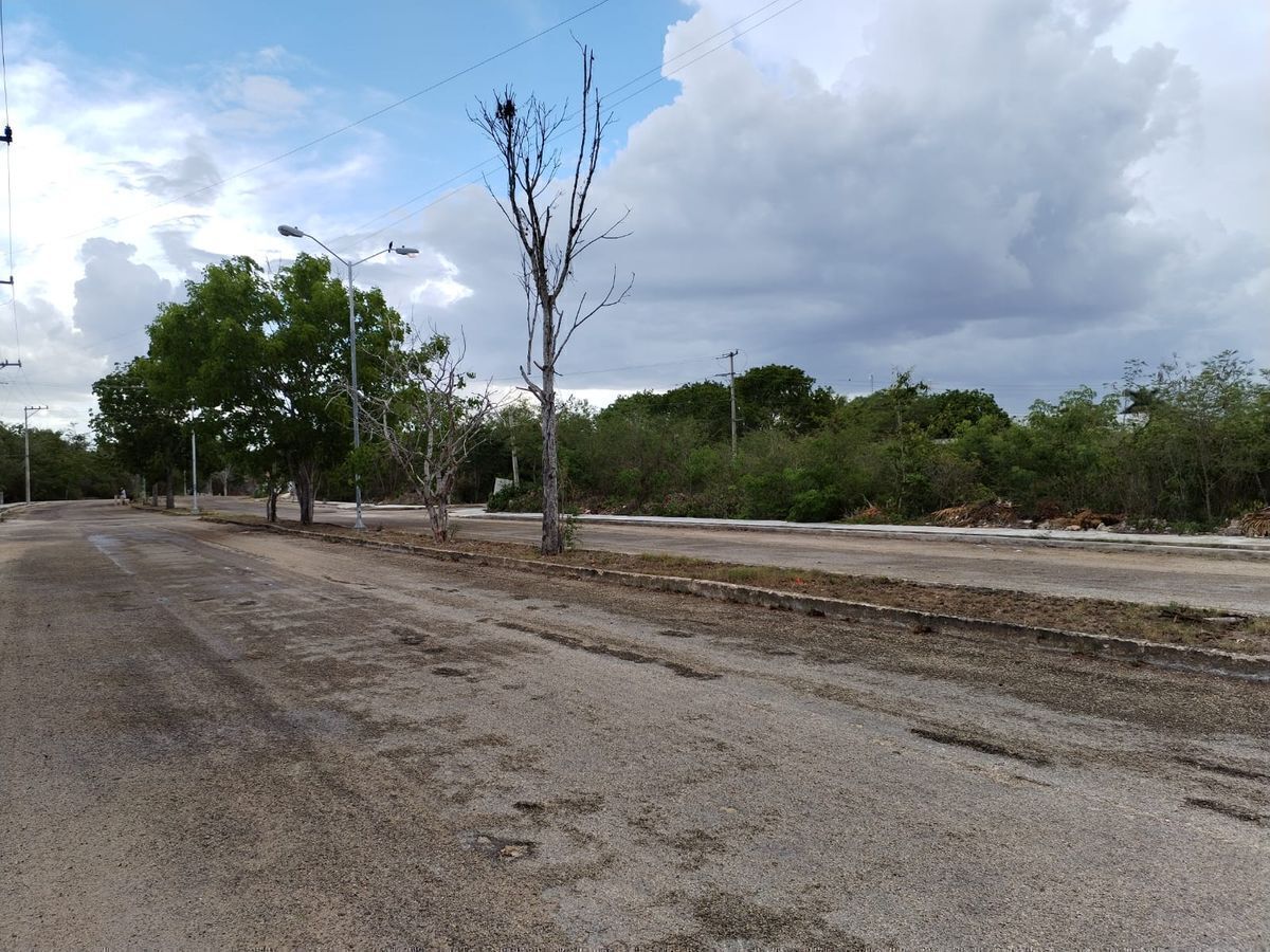 6 de 13: Calles de acceso