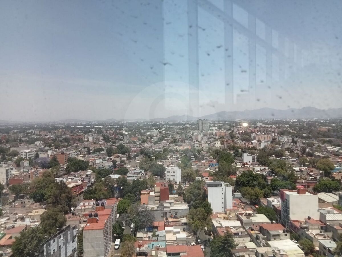 12 de 14