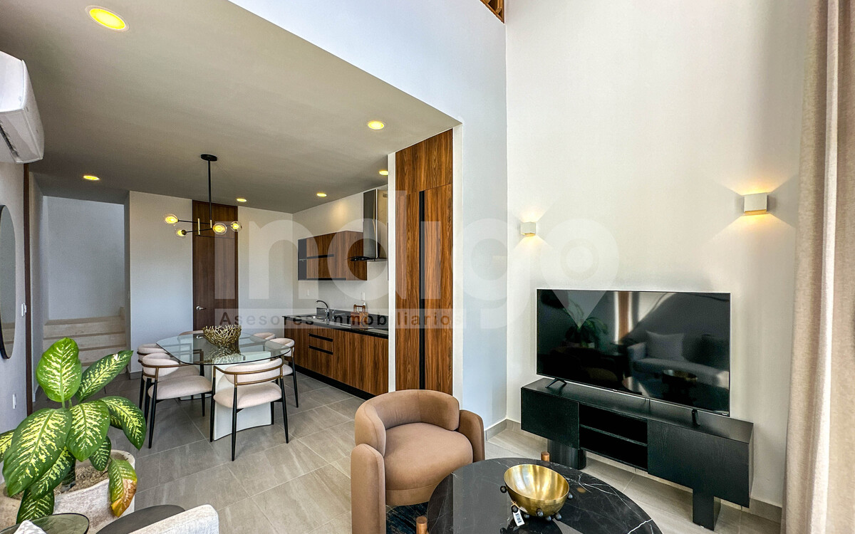 5 de 36: Sala con Techos a Doble Altura