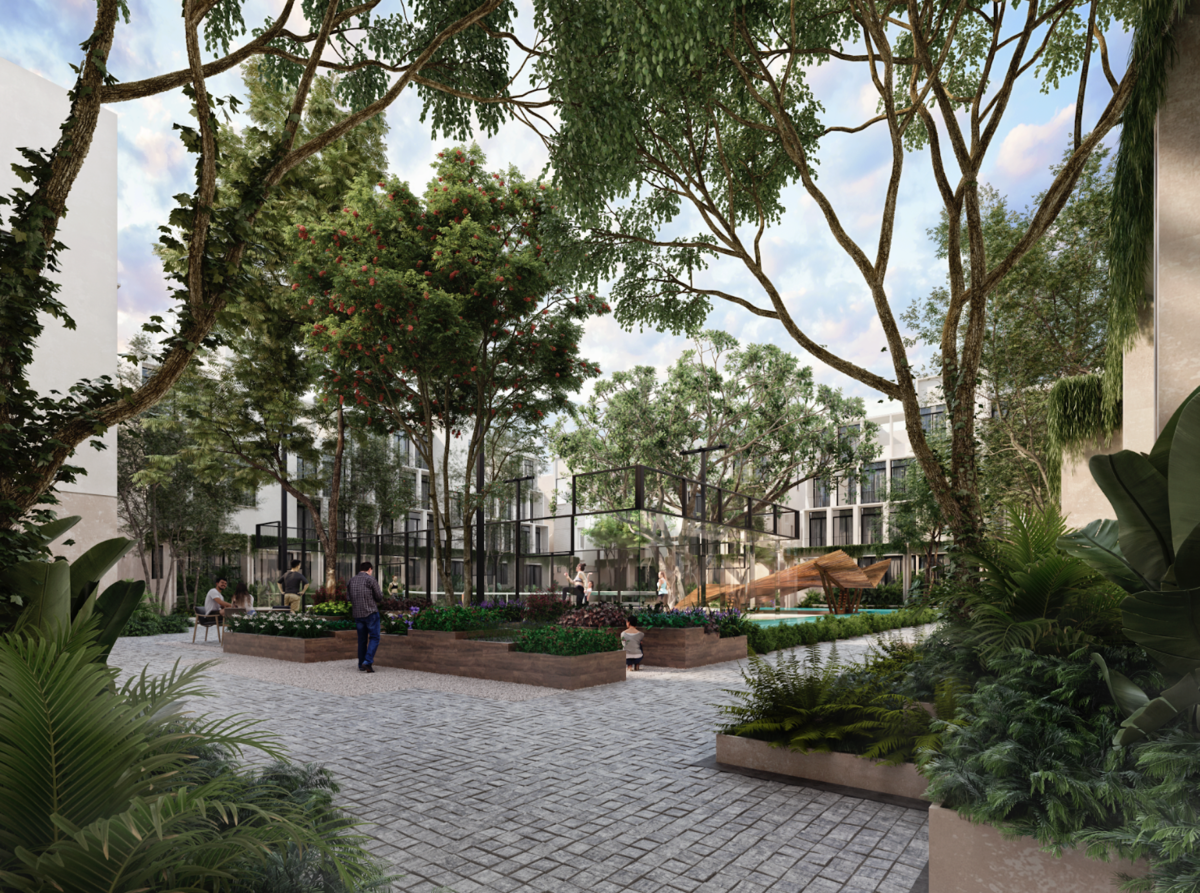 38 de 50: Cancha de Pádel