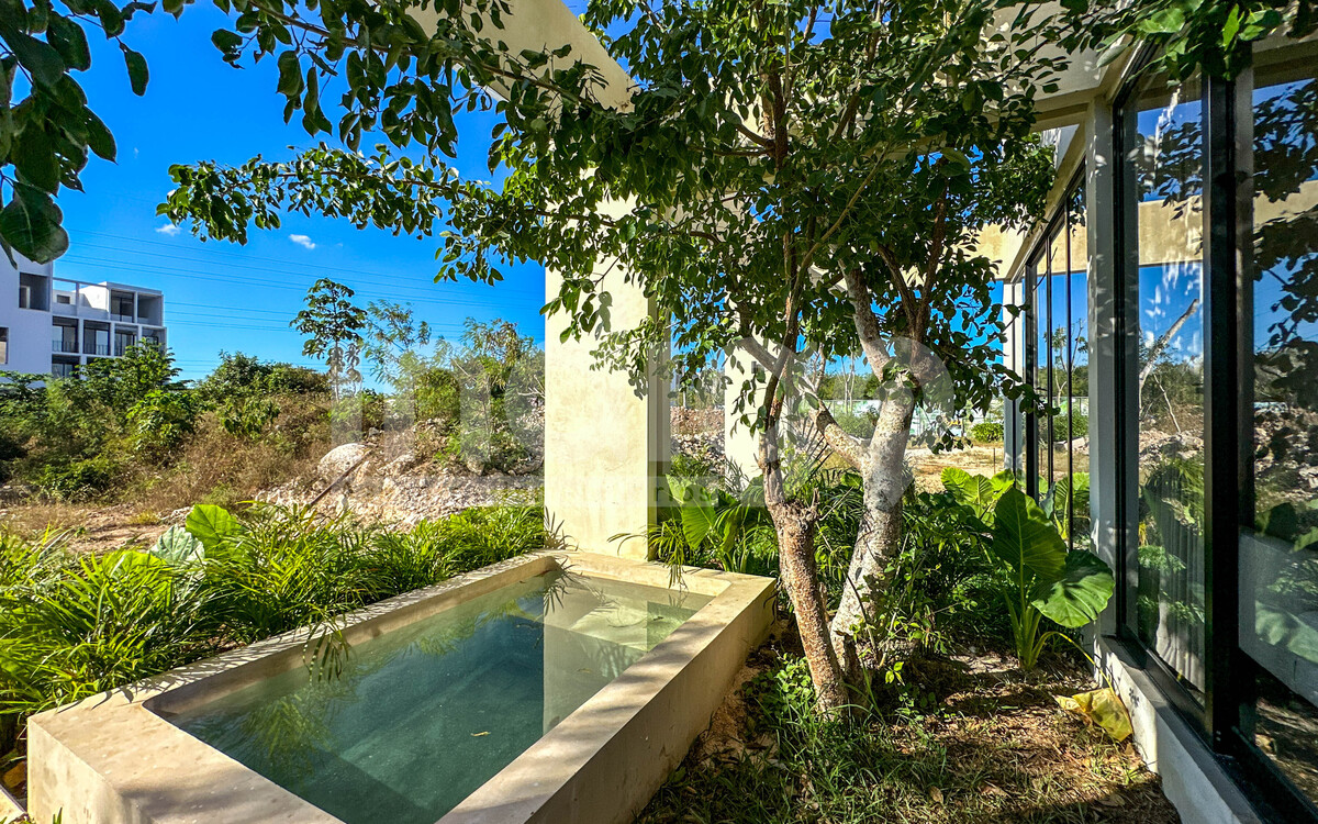 16 de 50: Piscina y Jardín