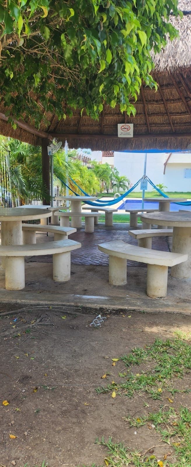 5 de 19