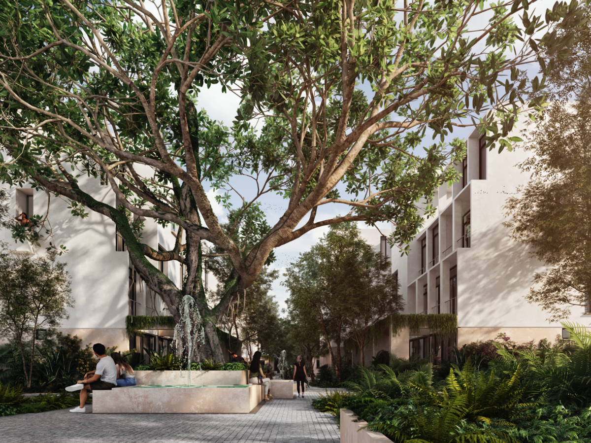 47 de 50: Áreas Verdes