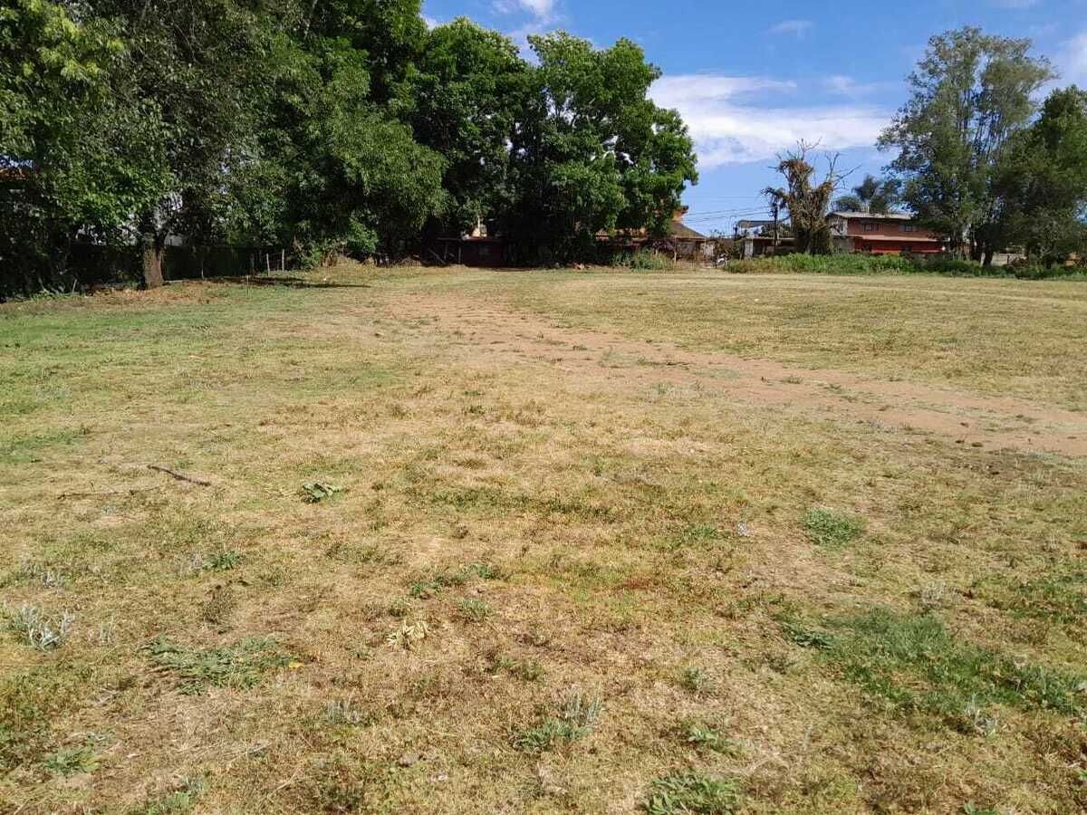 terreno
