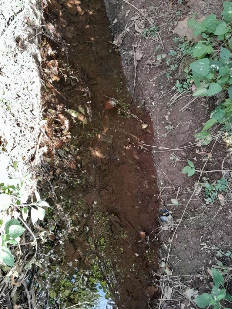 arroyo