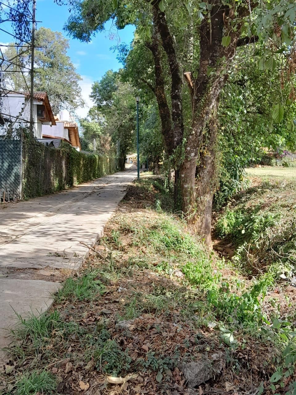 calle