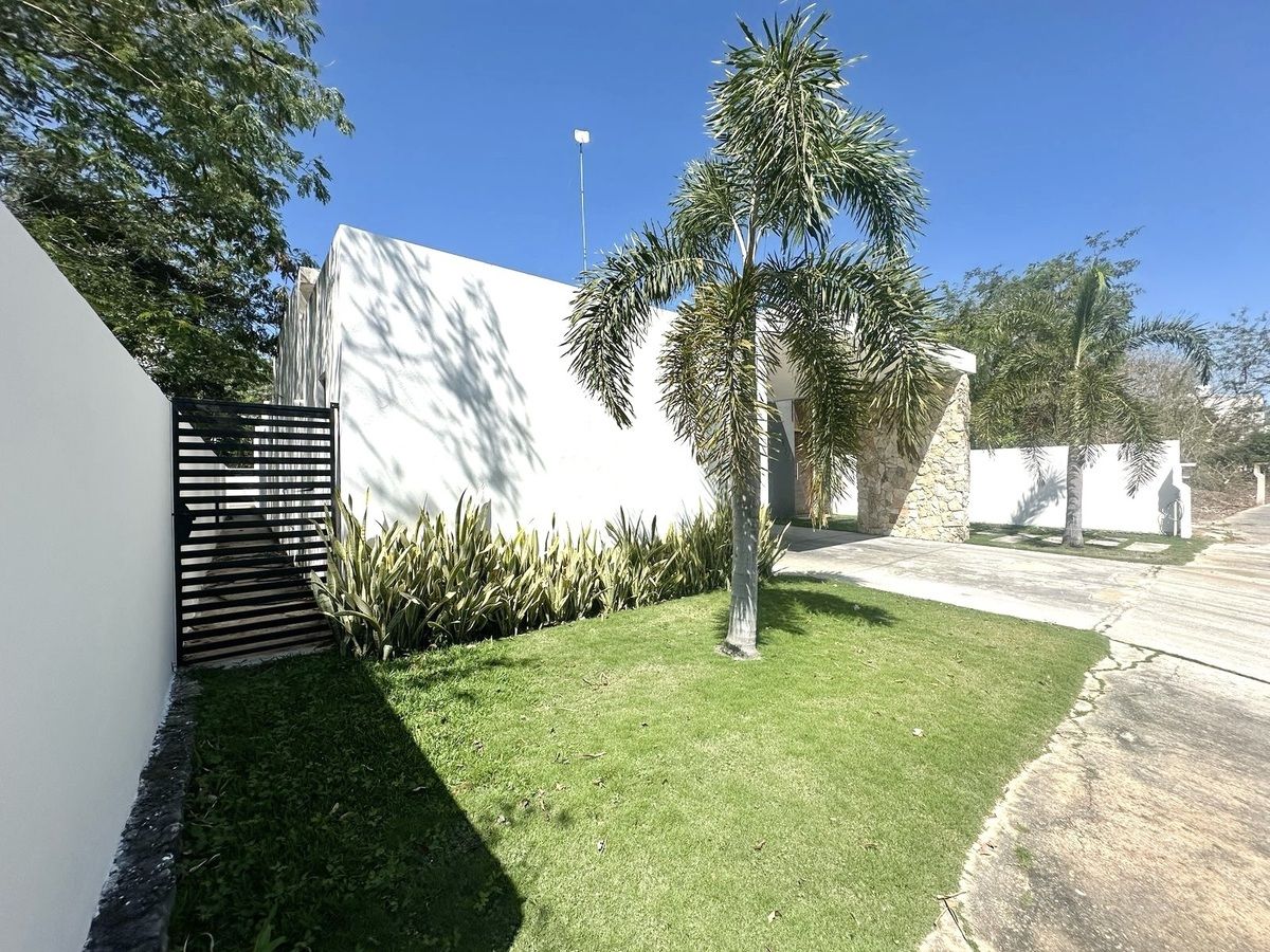 4 de 19