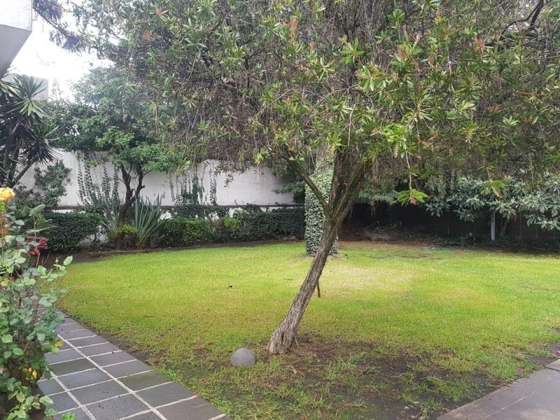 2020, Avenida Paseo De Las Palmas, Lomas de Chapultepec, 11000 2020, Avenida Paseo De Las Palmas, Lomas de Chapultepec, 11000