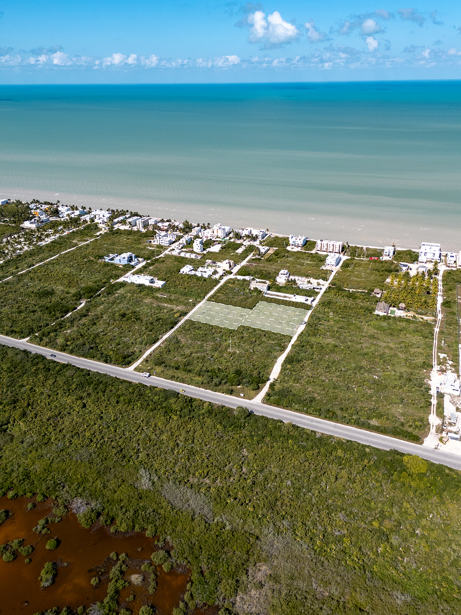 Terreno en venta – San Benito, Yucatán - foto 1