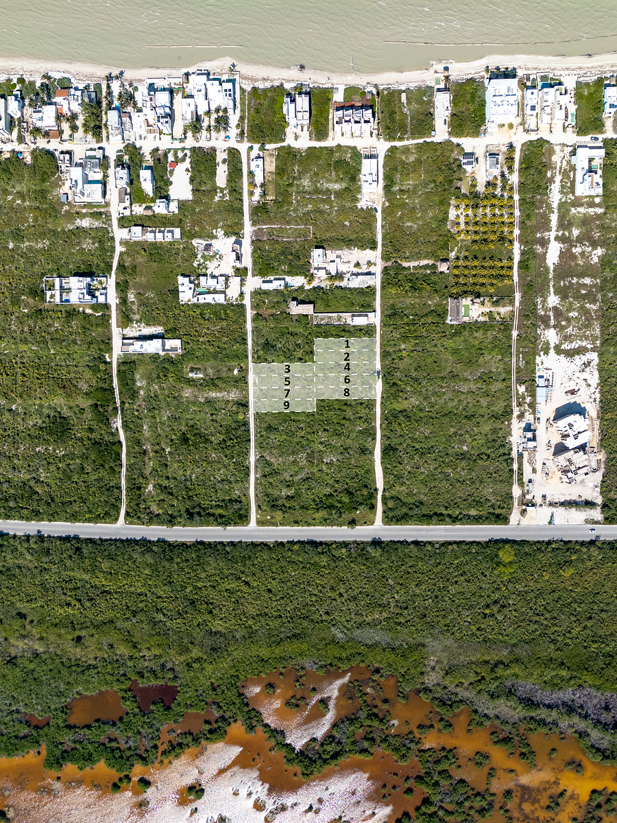 Terreno en venta – San Benito, Yucatán - foto 2