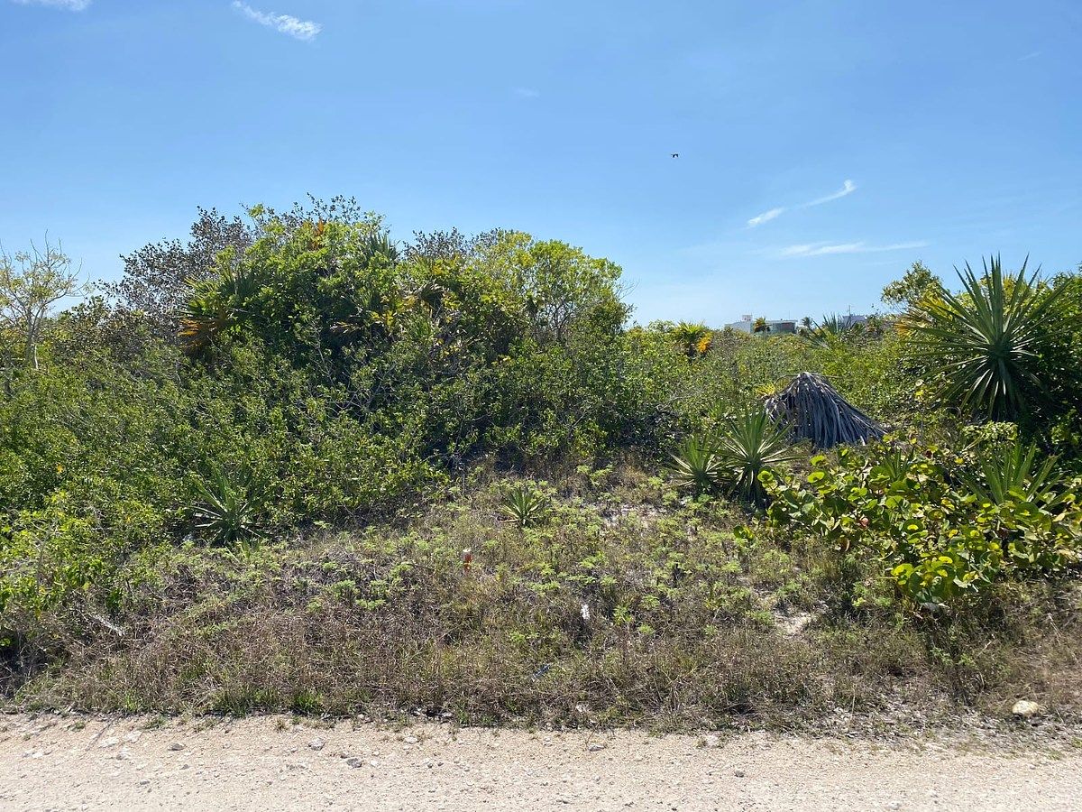 Terreno en venta – San Benito, Yucatán - foto 3