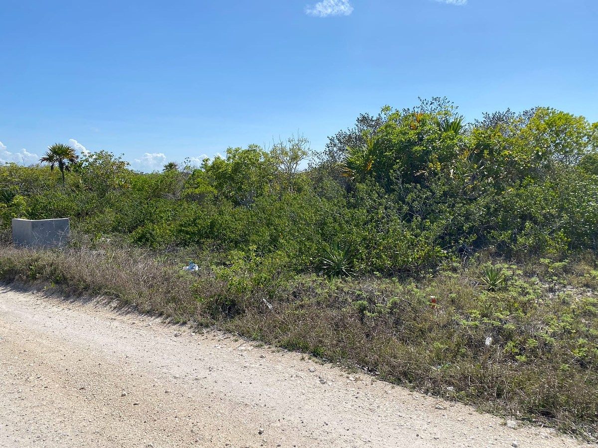 Terreno en venta – San Benito, Yucatán - foto 5