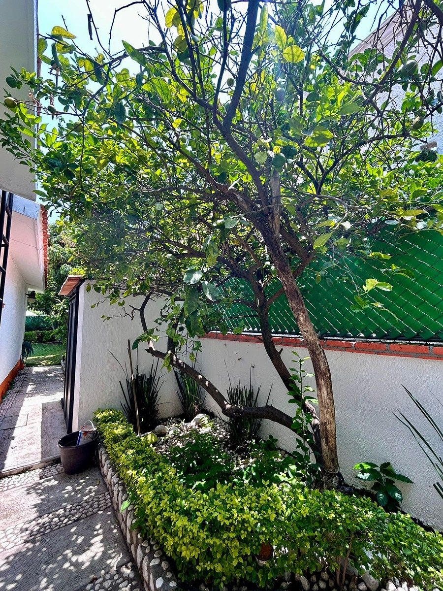 Casa em Lomas de Cocoyoc, Atlatlahucan, foto 8 de 28