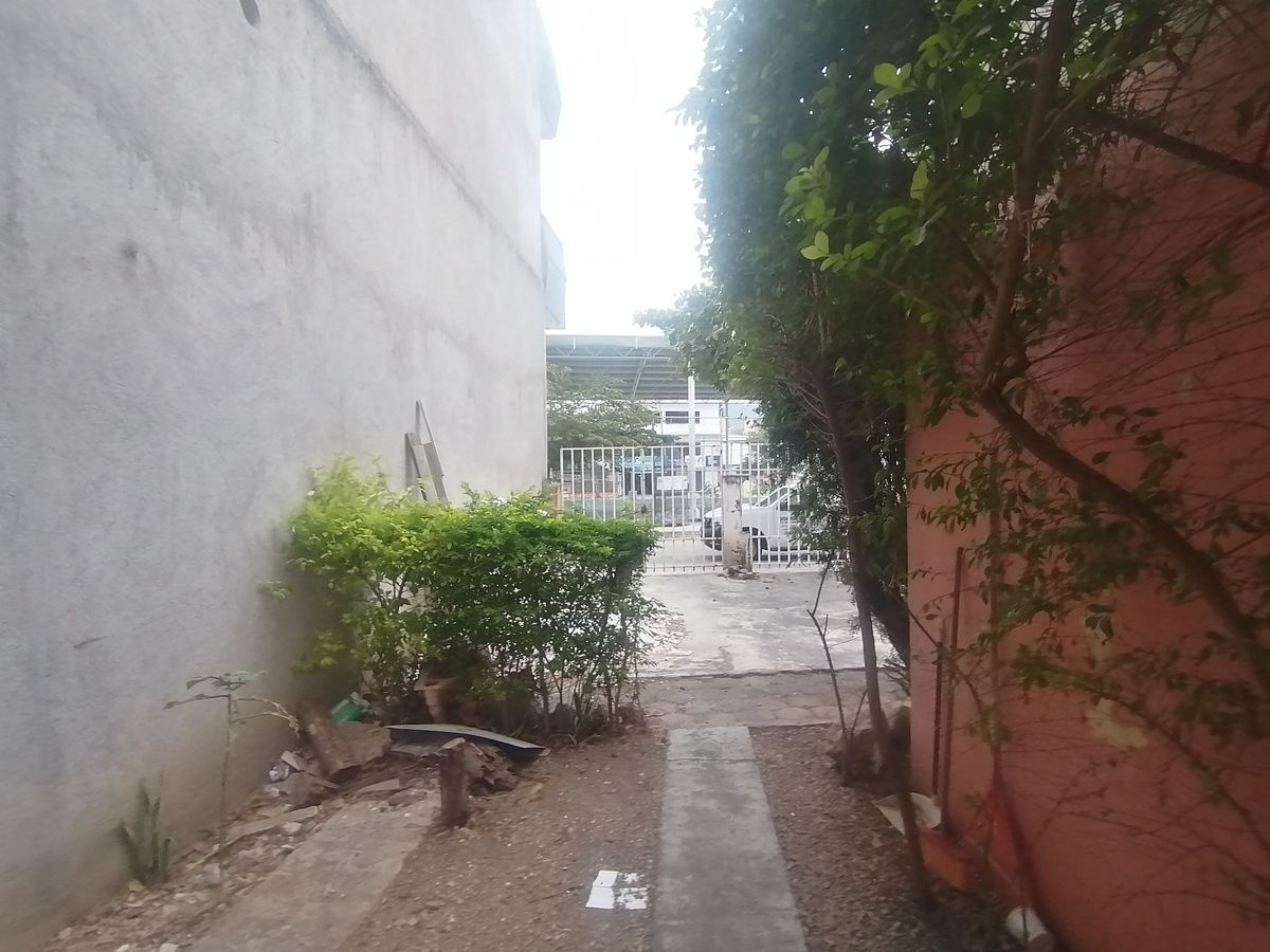 17 de 19