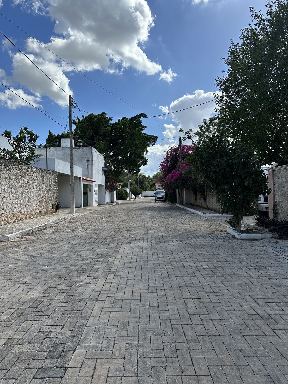 5 de 42