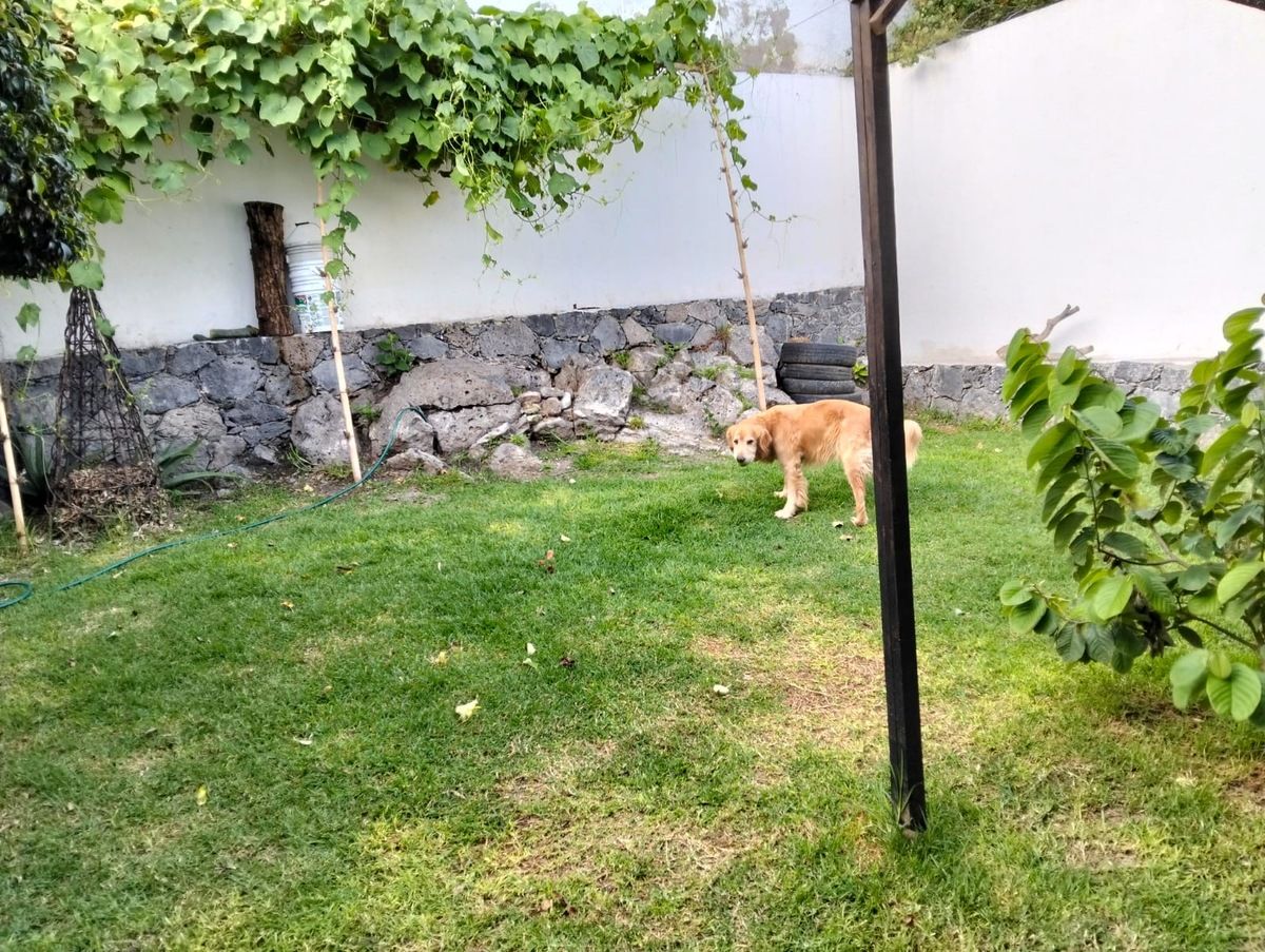 Casa em Cumbres del Cimatario, Huimilpan, foto 13 de 17