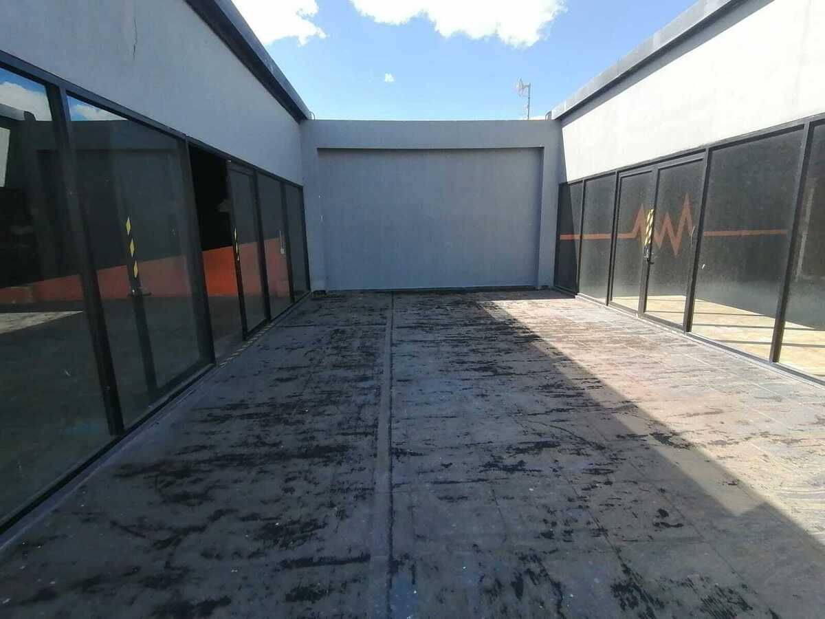 6 de 24