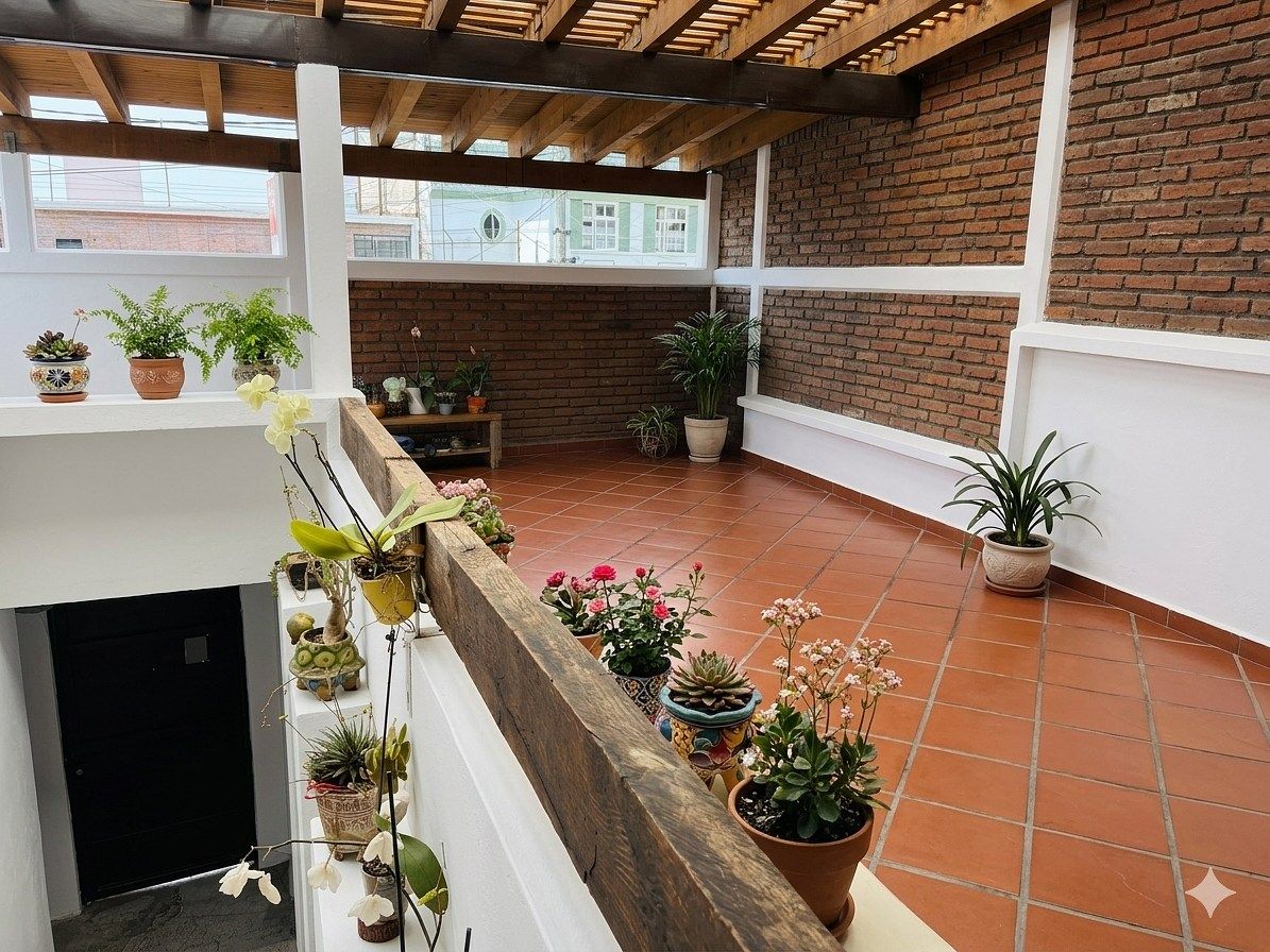 Terraza, foto 30 de 36
