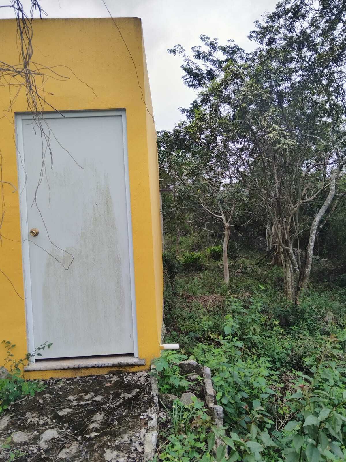 5 de 13