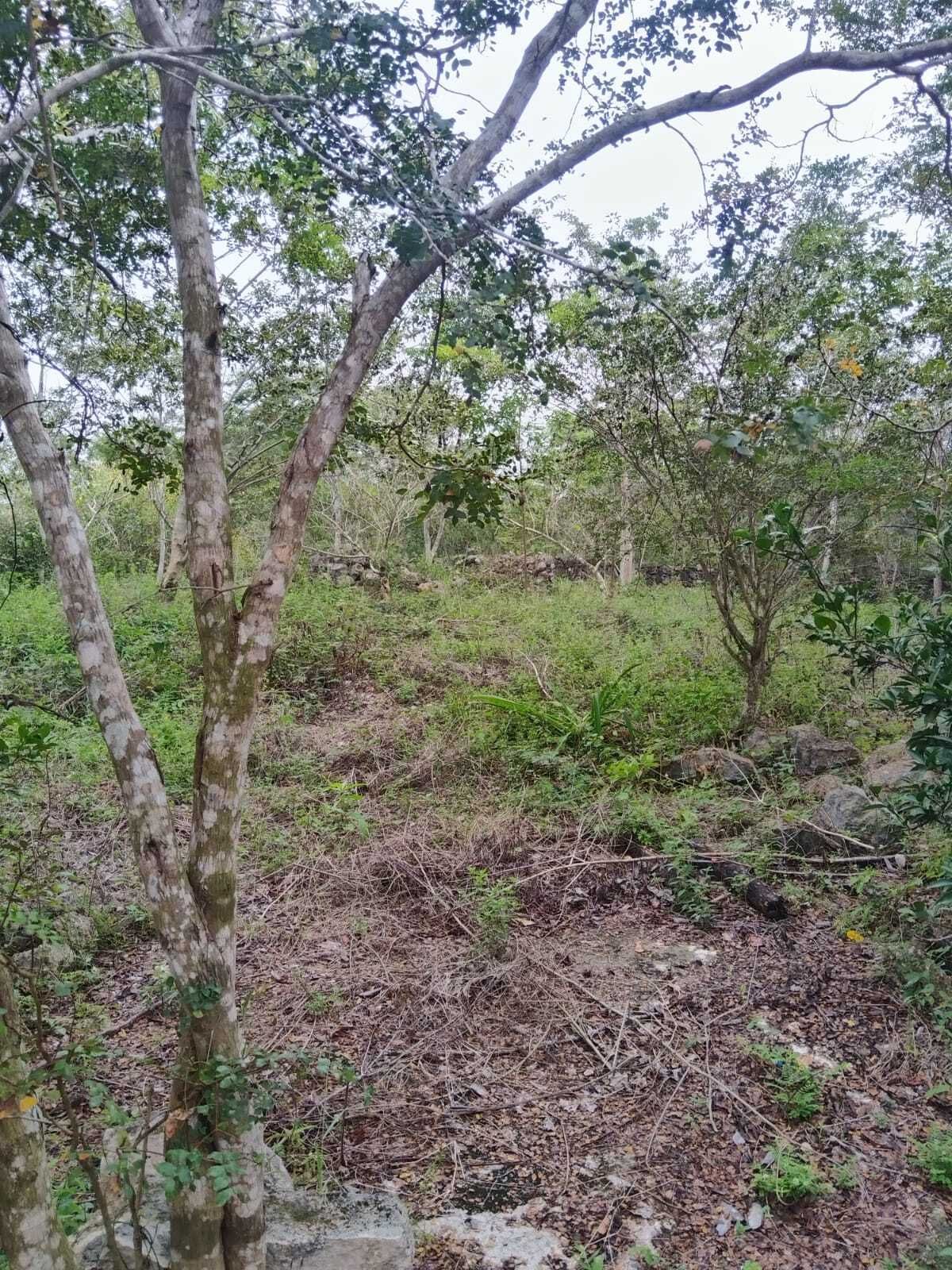 3 de 13