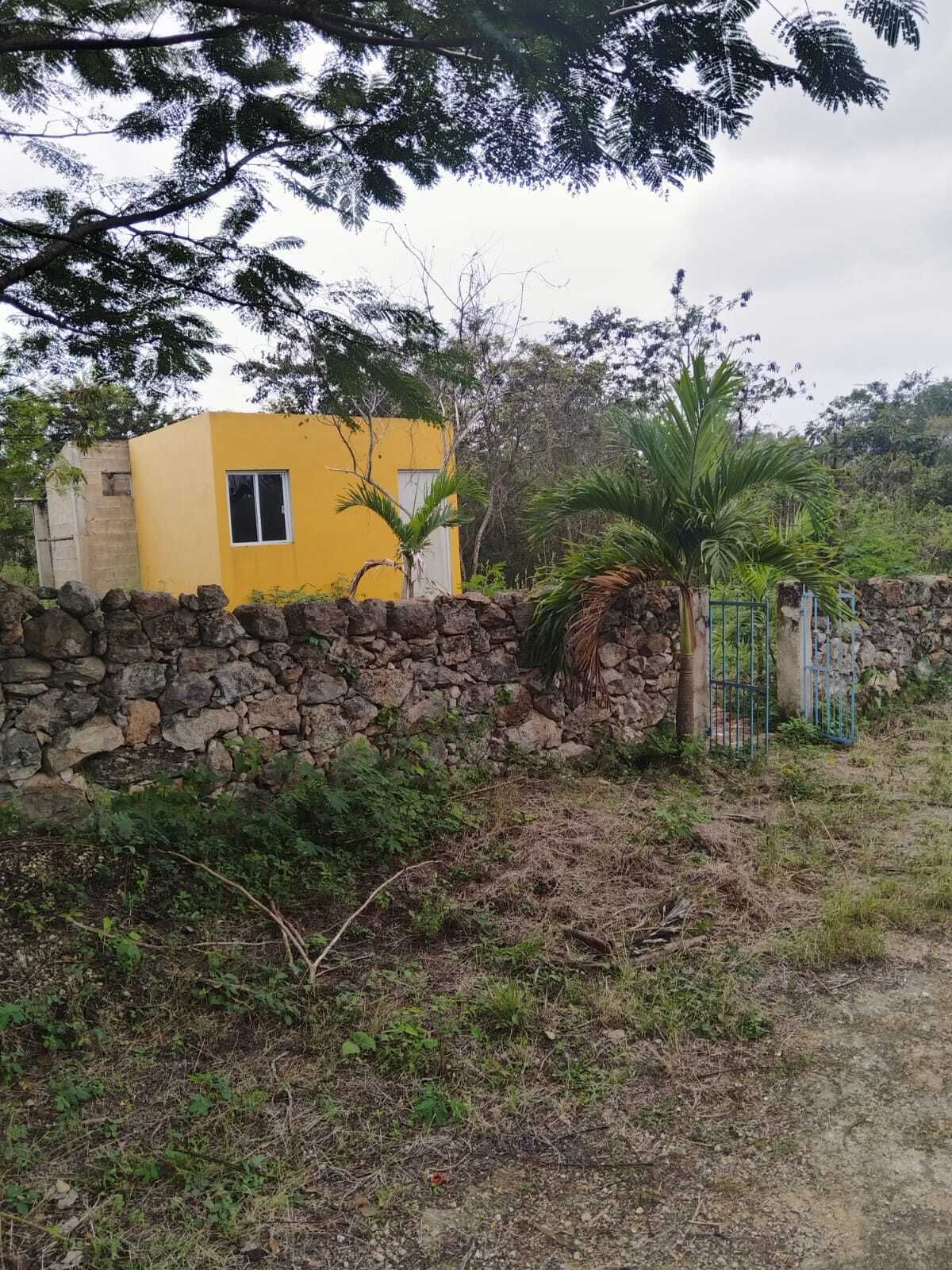 6 de 13