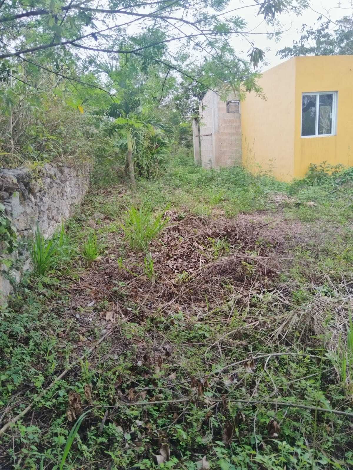 8 de 13