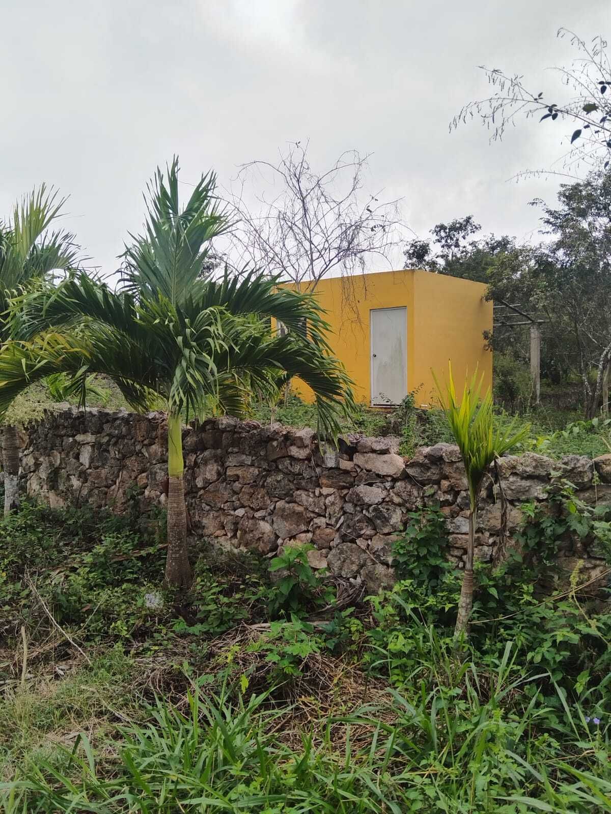 13 de 13