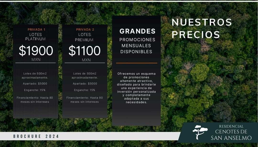 2 de 13