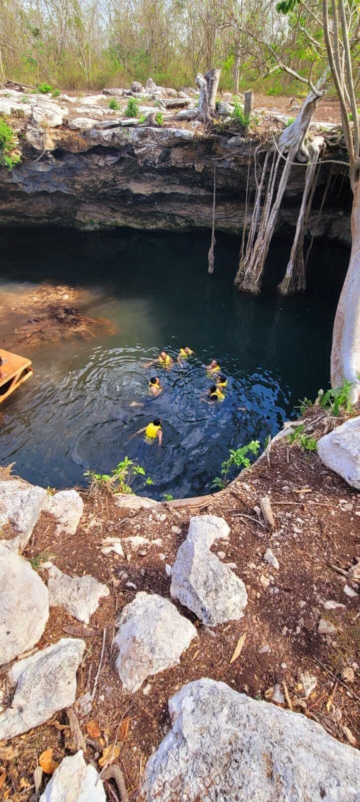 4 de 13