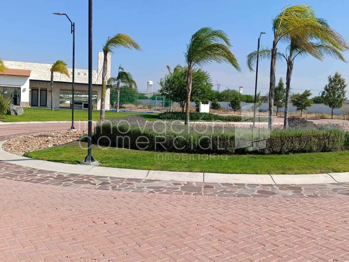 6 de 12
