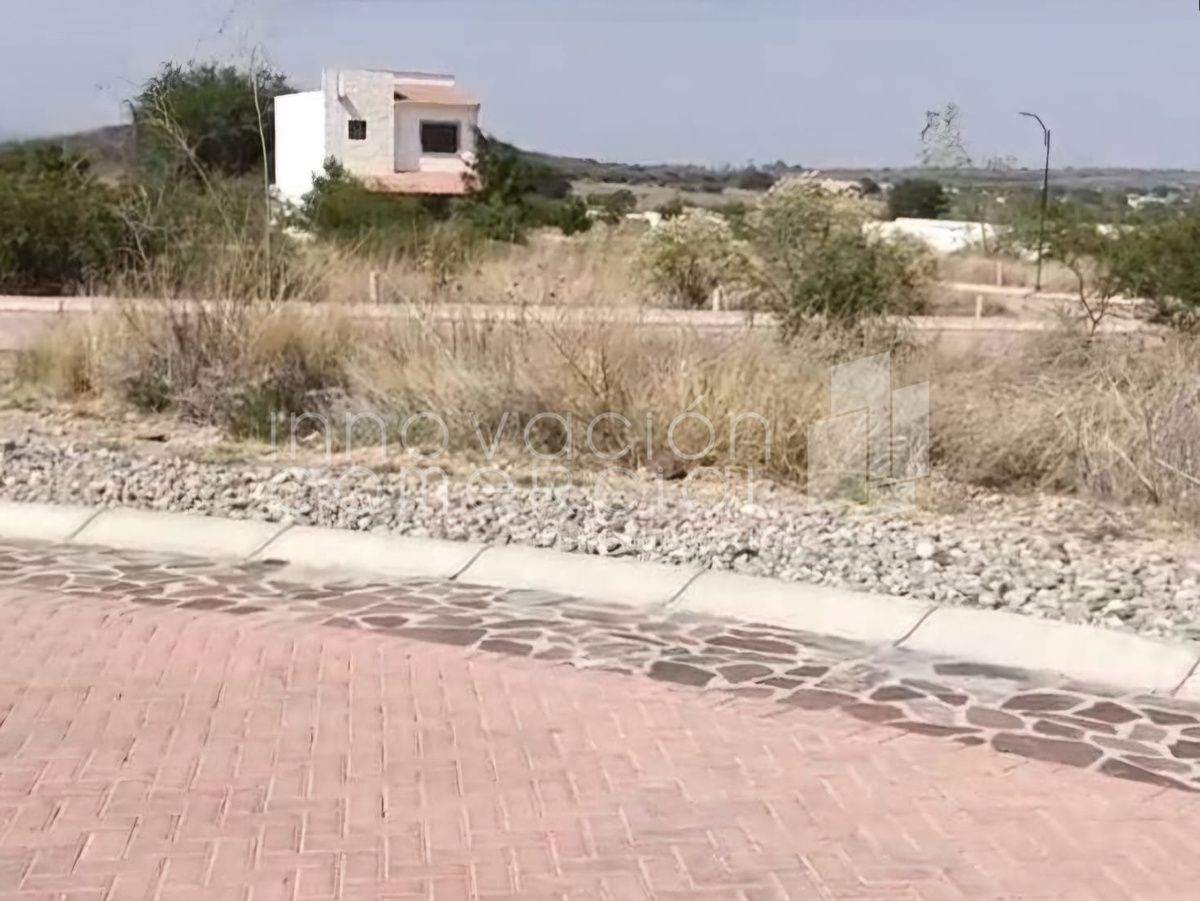 8 de 12