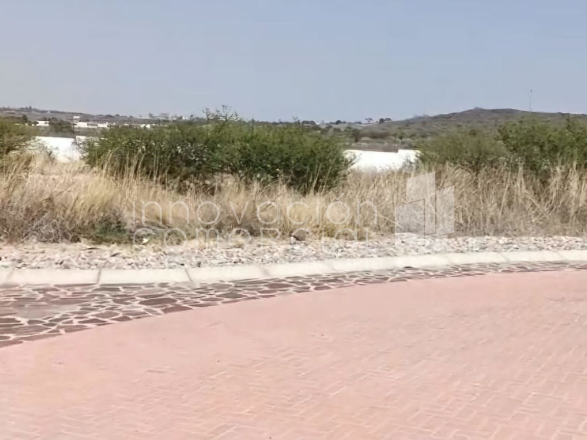 10 de 12
