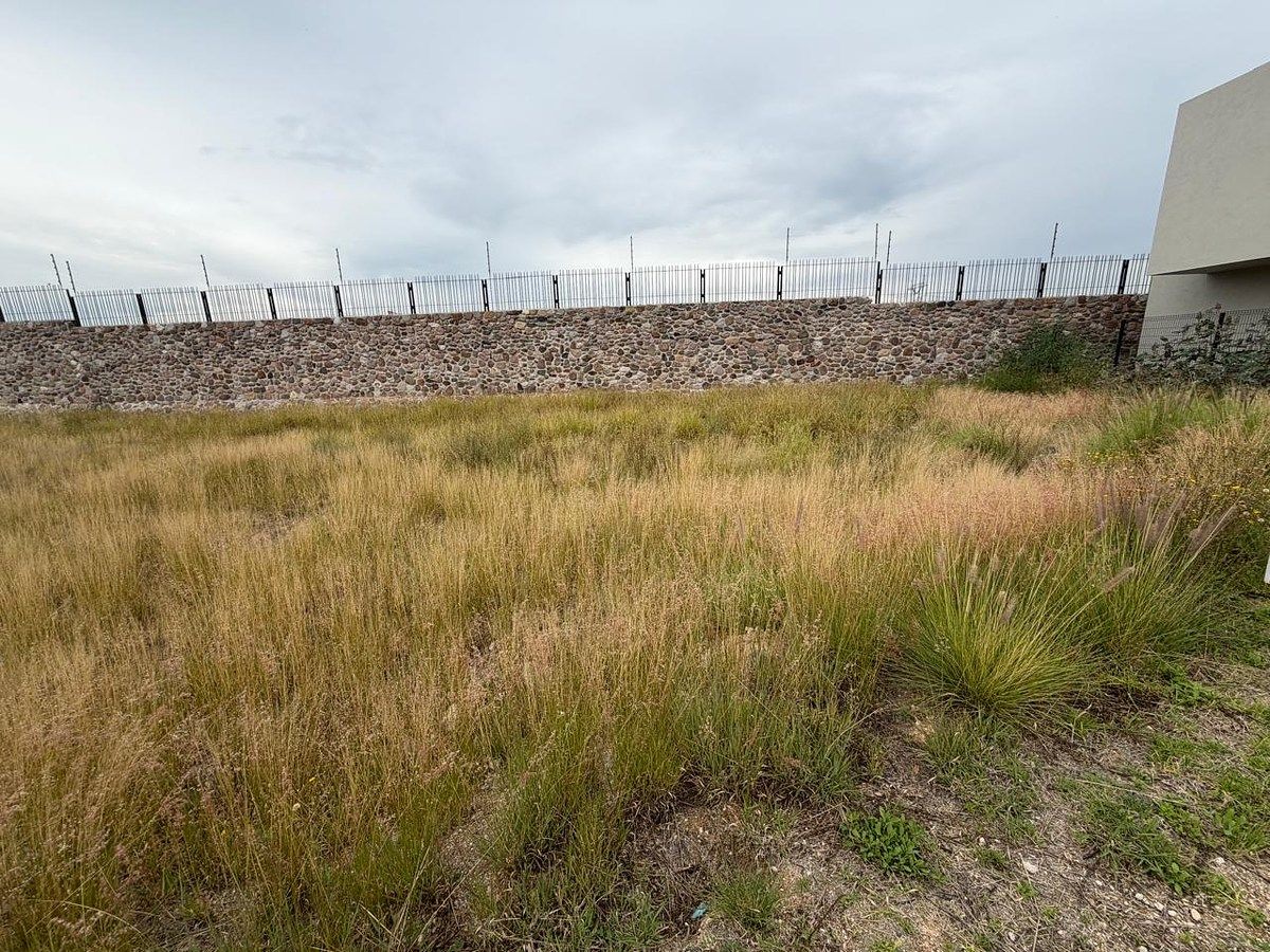 Terreno en Lomas del Campanario, Querétaro, foto 4 de 14