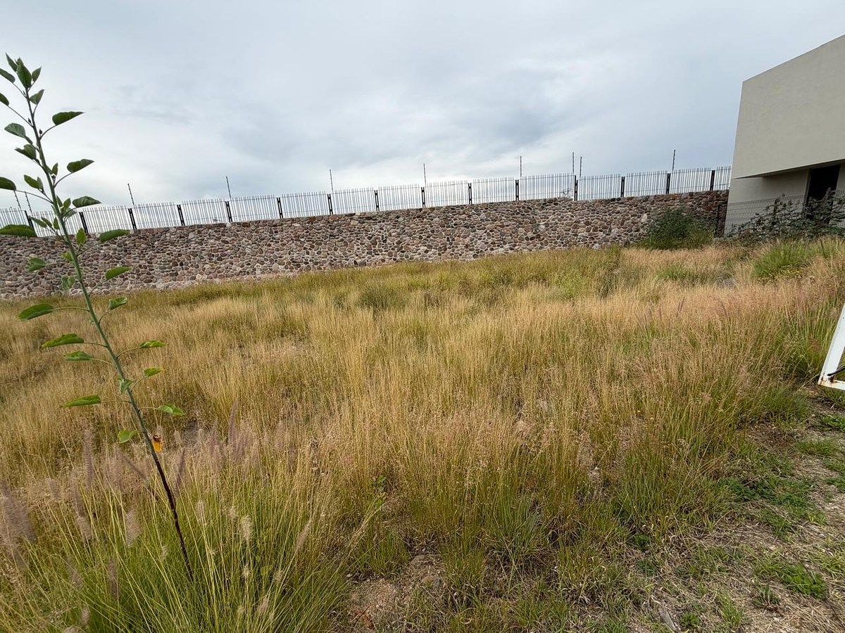 Terreno en Lomas del Campanario, Querétaro, foto 7 de 14